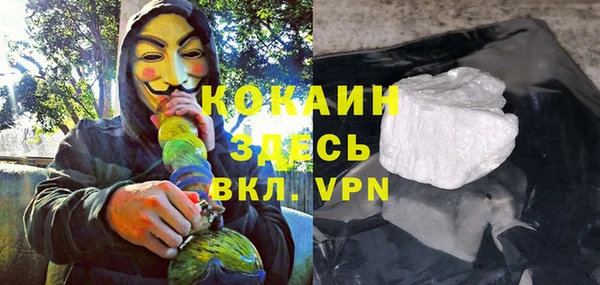 стафф Алексин