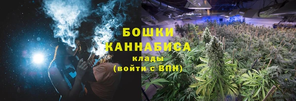 PSILOCYBIN Абинск