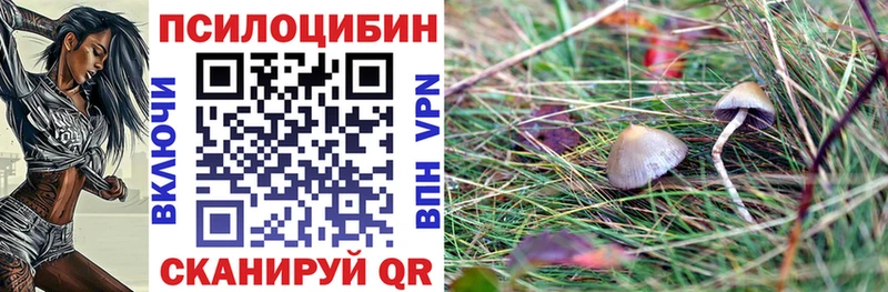 Псилоцибиновые грибы Cubensis  Ясный 