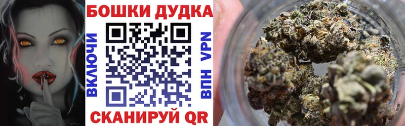 Каннабис планчик  Ясный 